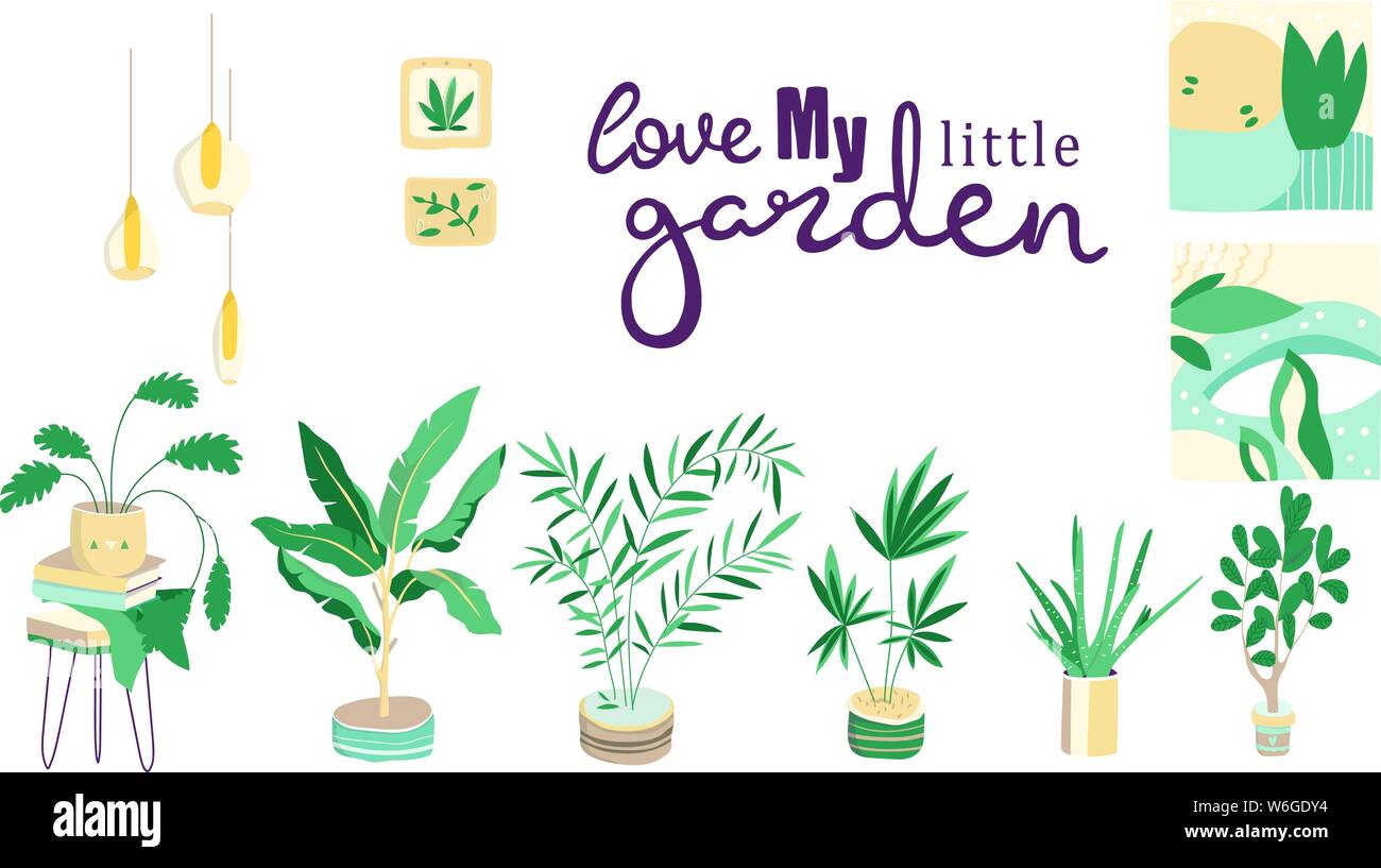 Collection de plantes d'décoratif isolé sur fond blanc. Ensemble de plantes poussant dans la mode des pots ou des jardinières. Ensemble de beaux sites naturels accueil Illustration de Vecteur