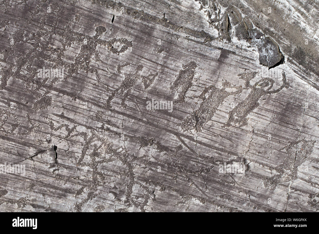 Gravure ancienne dans la Vallée Camonica roche, réserve du Ceto, Site du patrimoine mondial de l'UNESCO, l'Italie. Banque D'Images