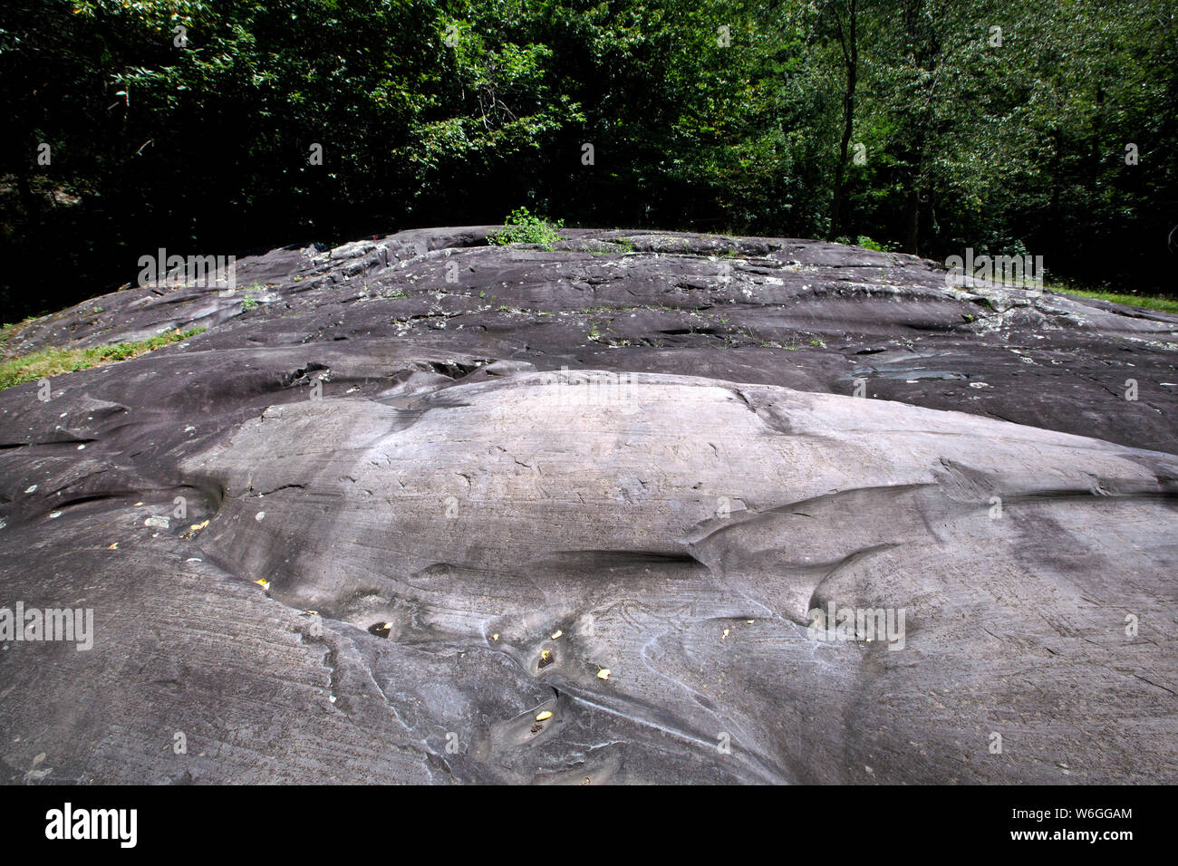 Gravure ancienne dans la Vallée Camonica roche, réserve du Ceto, Site du patrimoine mondial de l'UNESCO, l'Italie. Banque D'Images