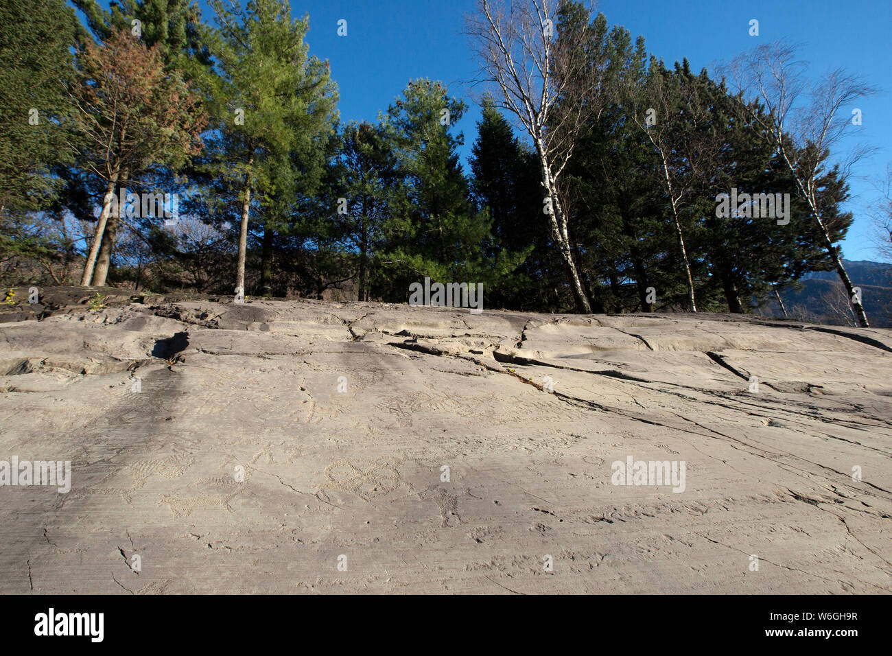 Gravure ancienne dans la Vallée Camonica rock, le Parc National de Naquane, UNESCO World Heritage Site, Italie. Banque D'Images