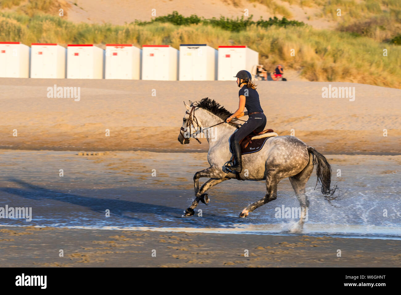 / Cavalière cheval femelle cavalier au cheval galopant sur la plage de sable le long de la côte de la mer du Nord Banque D'Images
