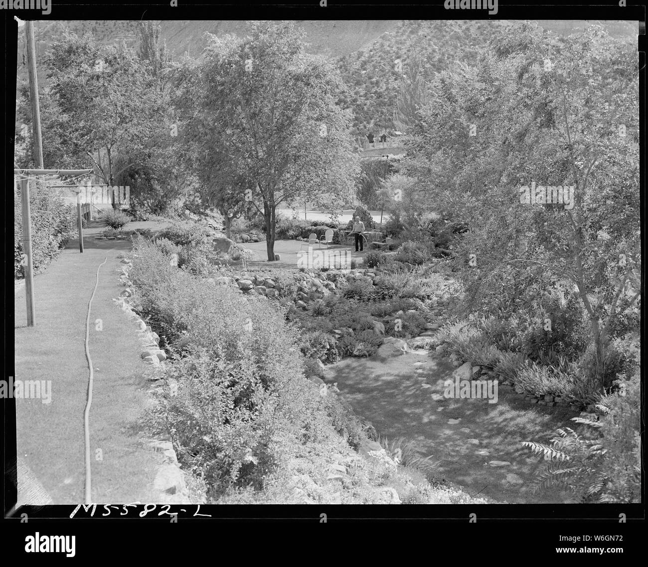 Jardin fleuri de mineur vivant dans le logement d'entreprise projet. Columbia Steel Company, Colombie-Britannique, Colombie-Britannique, Mine Carbon Comté (Utah). Banque D'Images