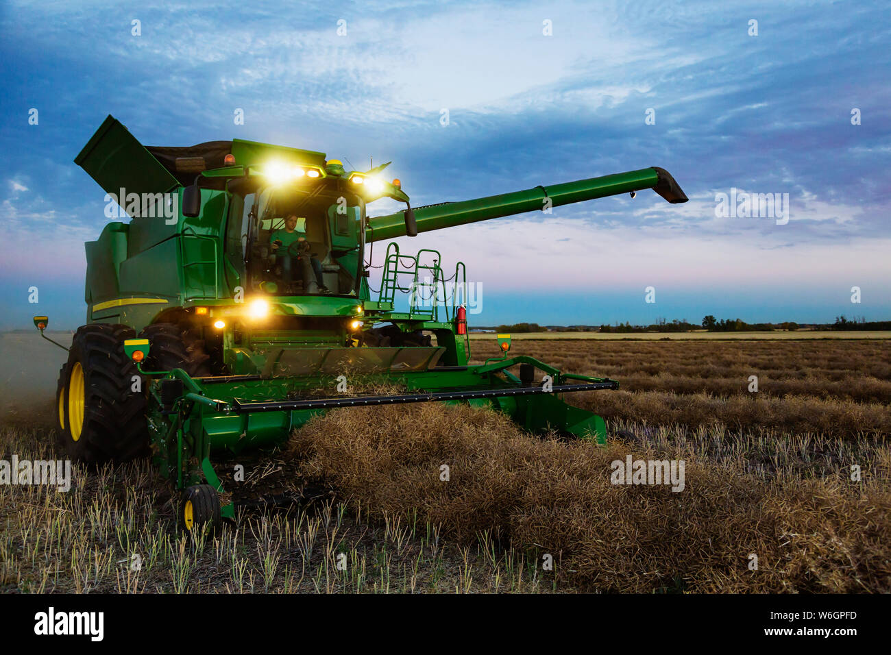 Une moissonneuse-batteuse entièrement chargé avec ses lumières sur les bras de transfert pour la récolte, le canola après le coucher du soleil ; Legal, Alberta, Canada Banque D'Images