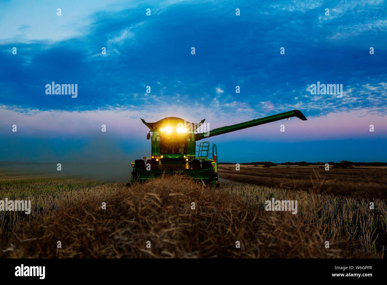 Une moissonneuse-batteuse entièrement chargé avec ses lumières sur les bras de transfert pour la récolte, le canola après le coucher du soleil ; Legal, Alberta, Canada Banque D'Images