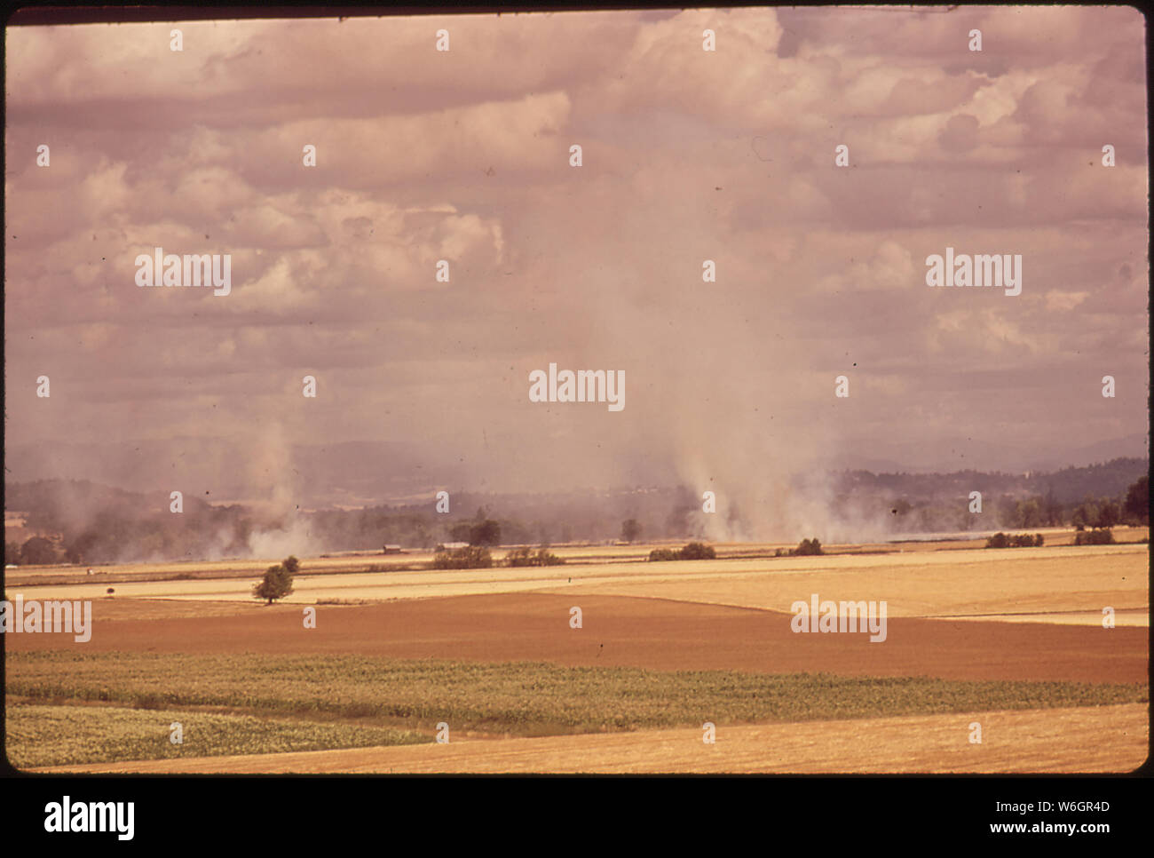 Base de semences est brûlé dans Willamette Valley Banque D'Images