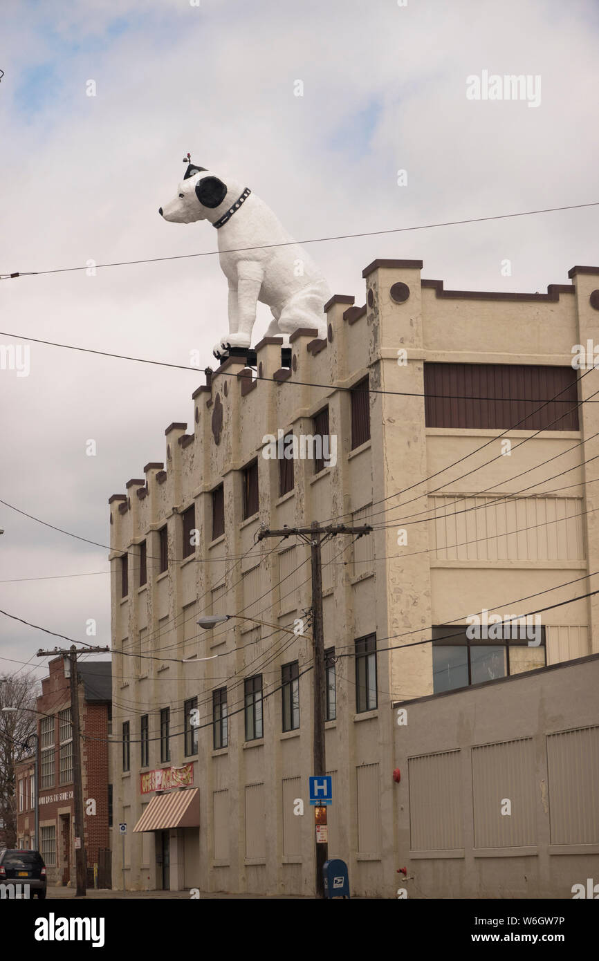 Le chien Nipper RCA sur le dessus du toit d'un entrepôt dans la région de Albany NY Banque D'Images