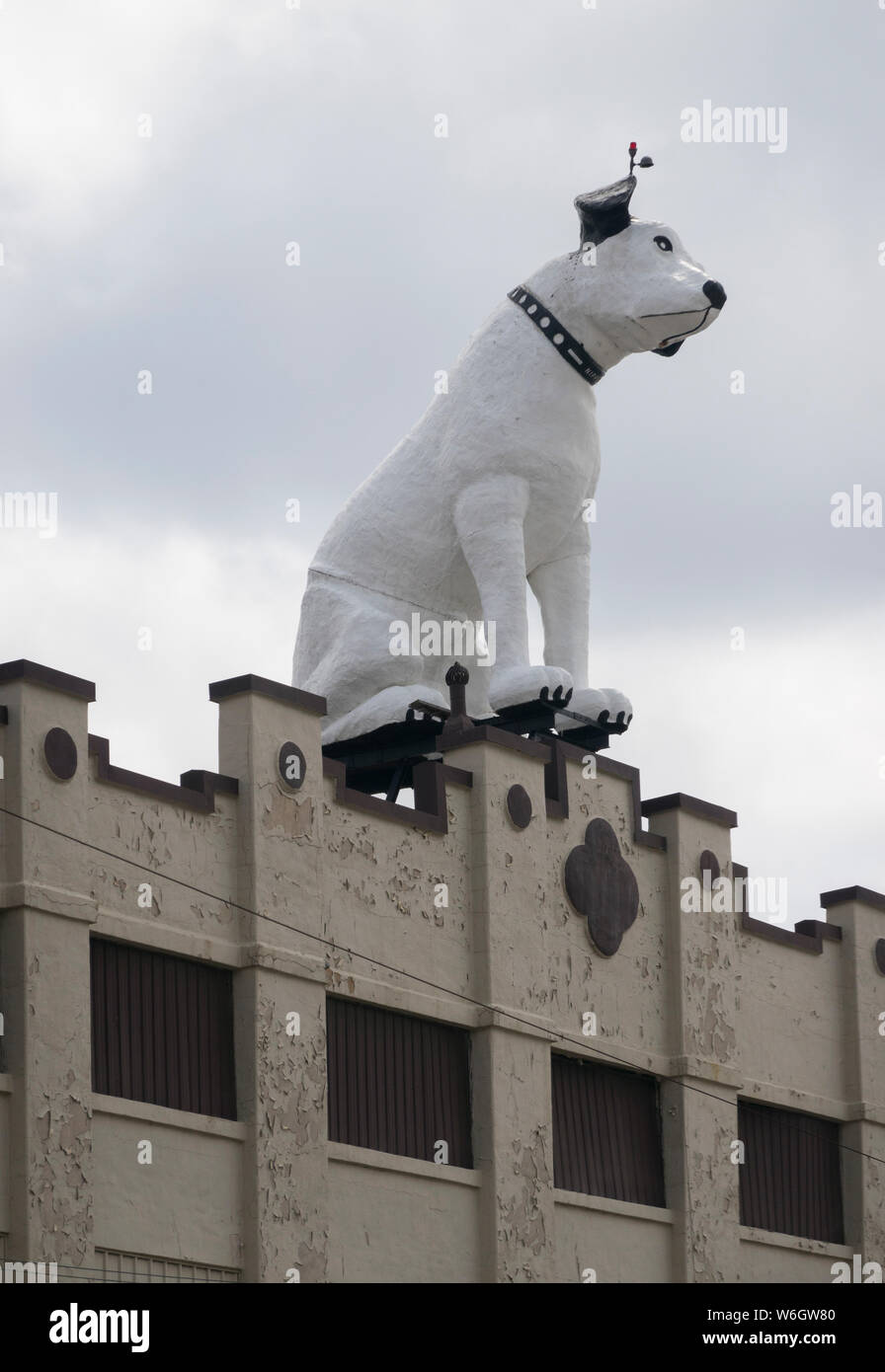 Le chien Nipper RCA sur le dessus du toit d'un entrepôt dans la région de Albany NY Banque D'Images