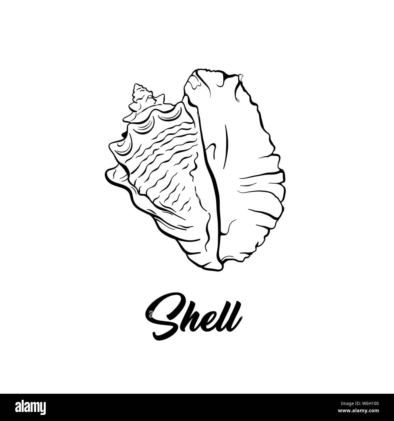 Sea Shell noir et blanc illustration vectorielle. Forme de spirale créature nautique dessin libre. Mollusque exotique animal invertébré marin, la gravure. Illustration de Vecteur