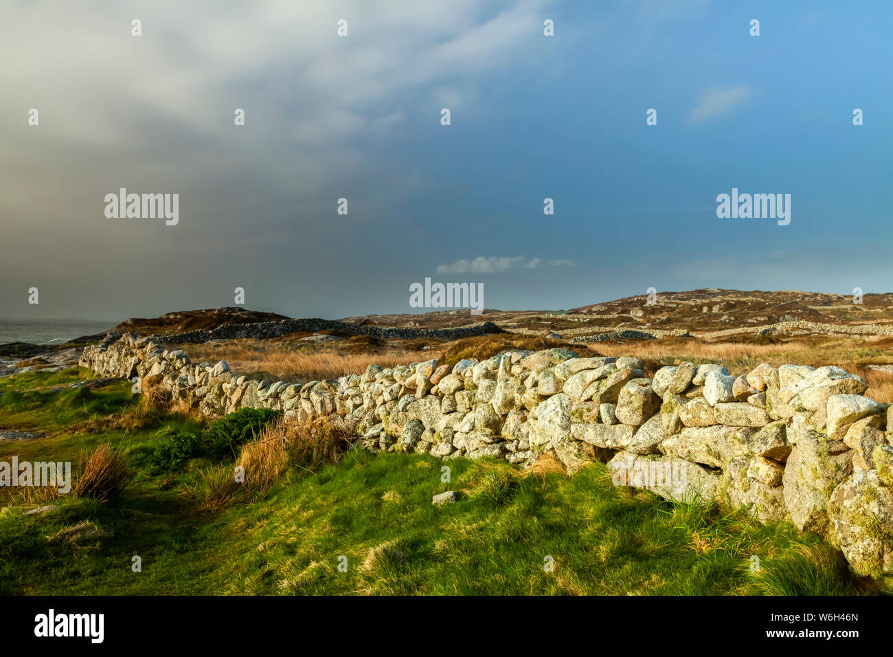Mur de pierre dans un champ d'herbe le long de la côte de l'Irlande, Irlande Banque D'Images