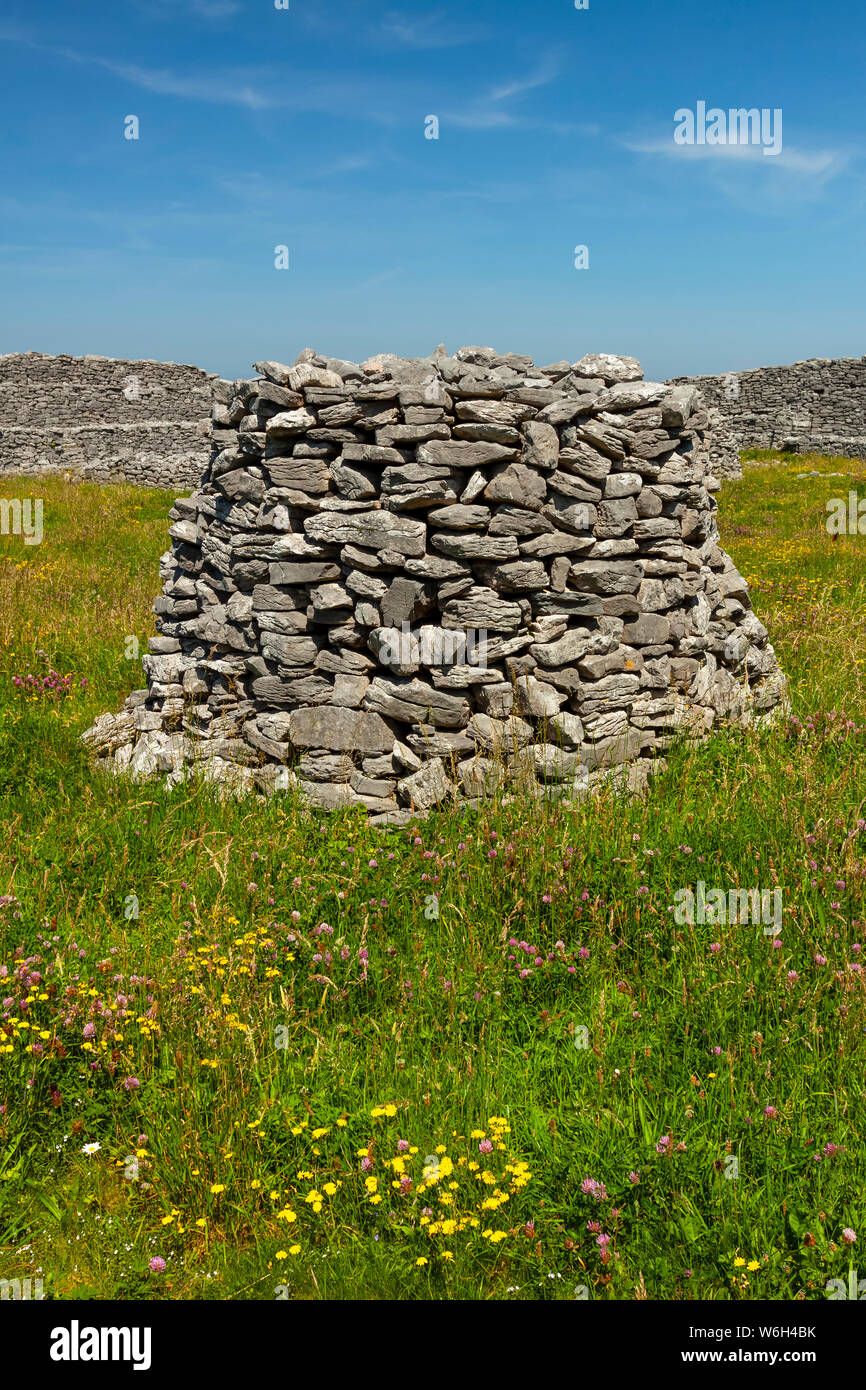 Structure en pierre ronde en pelouse, façon sauvage de l'Atlantique ; l'île de Estherville, comté de Galway, Irlande Banque D'Images