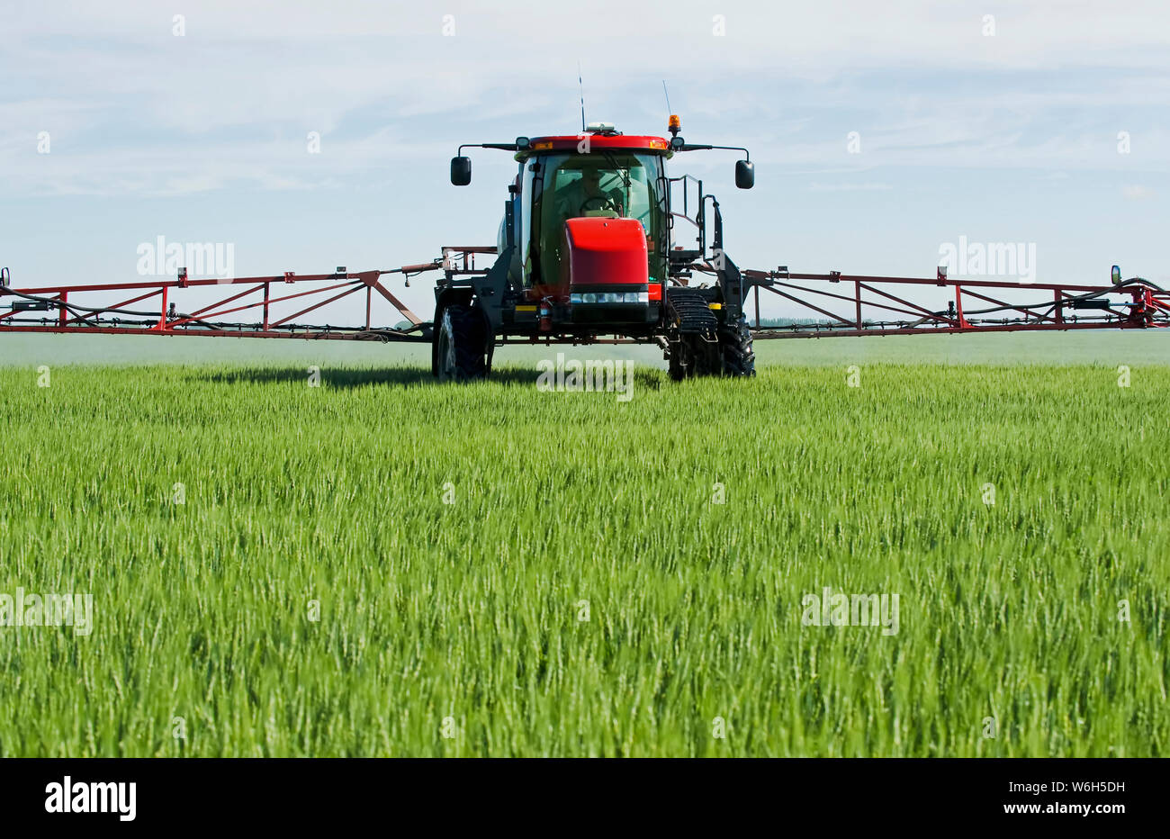 Un pulvérisateur à grande hauteur de déversement permet une application  chimique de fongicide au sol sur le blé à croissance moyenne, près de  Dugald, Manitoba, Canada Photo Stock - Alamy