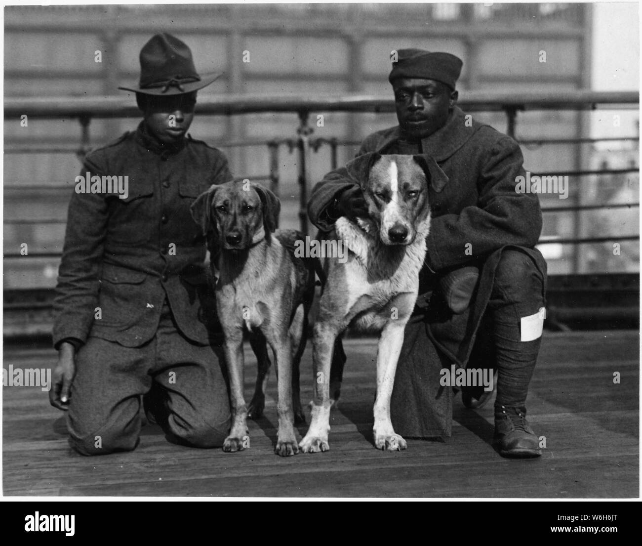 Les chiens allemand le Prince et Kaiser Bill ,deux chiens qui ont été capturés par les soldats Robinson . . . ; Portée et contenu : la légende complète pour ce poste est la suivante : Les chiens allemand le Prince et Kaiser Bill ,deux chiens qui ont été capturés par les soldats Robinson et Cleve, 539 ingénieurs, et Daniel Nelson, 372e d'infanterie, deux blessés [African American] des soldats qui sont retournés sur le transport George Washington. Banque D'Images