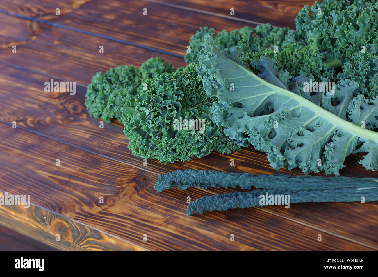 Kale, variétés populaires Vates gondolé bleu fin de Kale le kale toscanes. Les feuilles fraîches de chou kale juteux se situent sur une table en bois. Banque D'Images