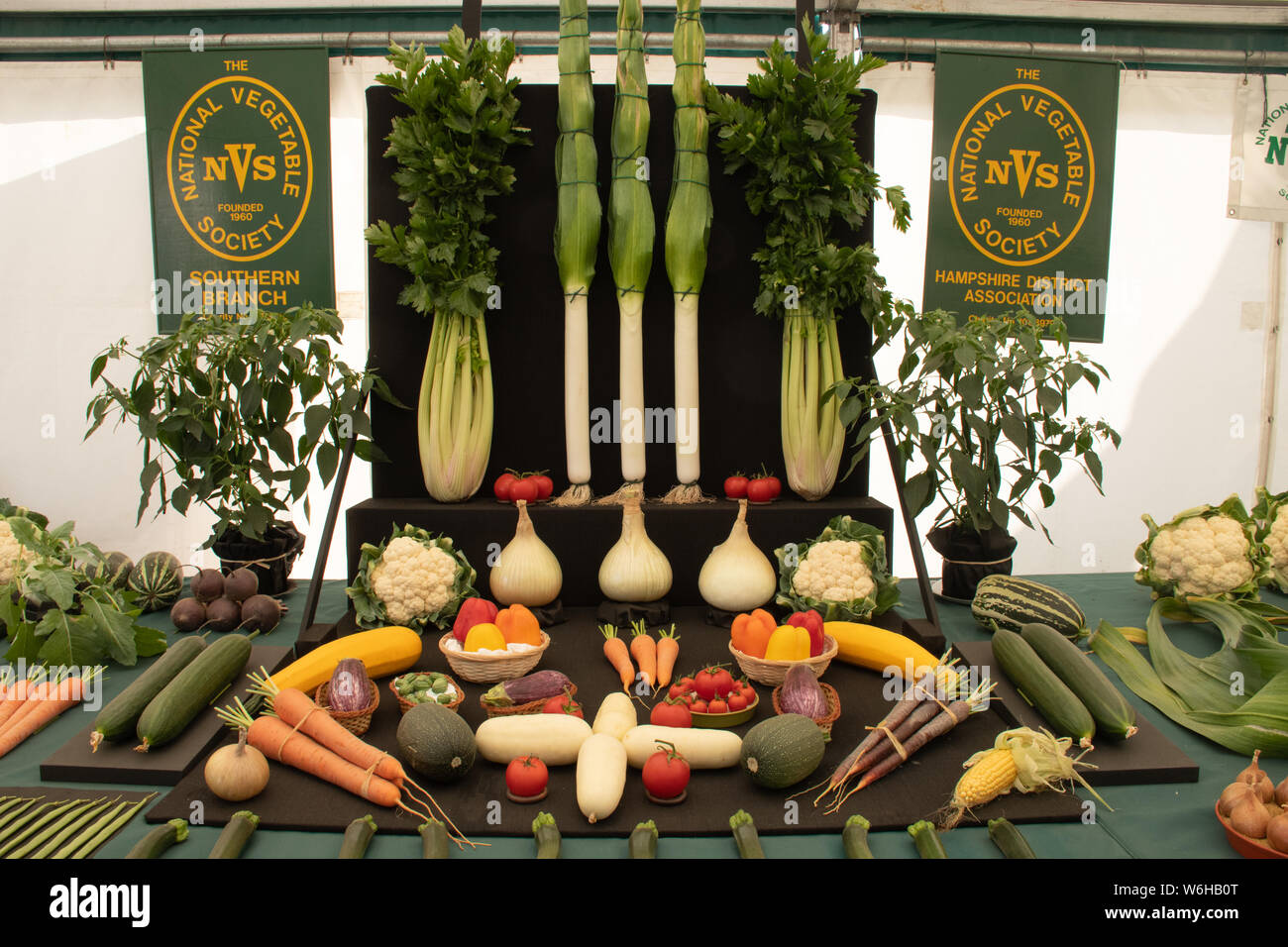 New Forest et le Comté d'afficher 2019 - Show Légumes concours organisé par la société légumes National Banque D'Images