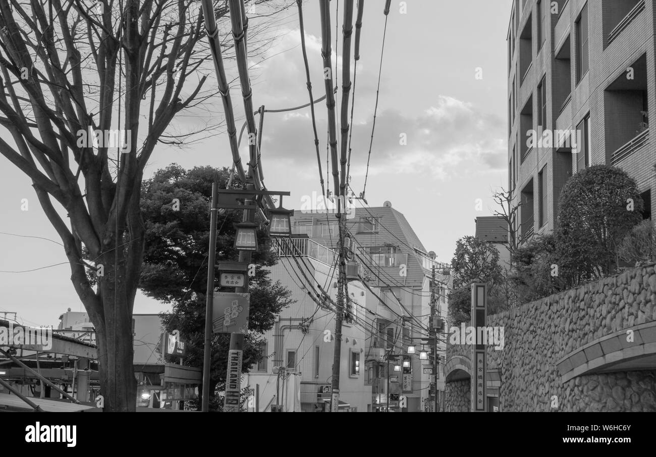 Parfois, des photos noir et blanc de Tokyo reflète sa véritable personnalité et caractère beaucoup mieux que la couleur ne correspondent. Banque D'Images