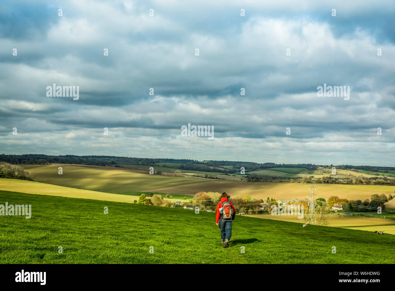 Balade dans les North Downs Way, le sud de l'Angleterre ; l'Angleterre Banque D'Images