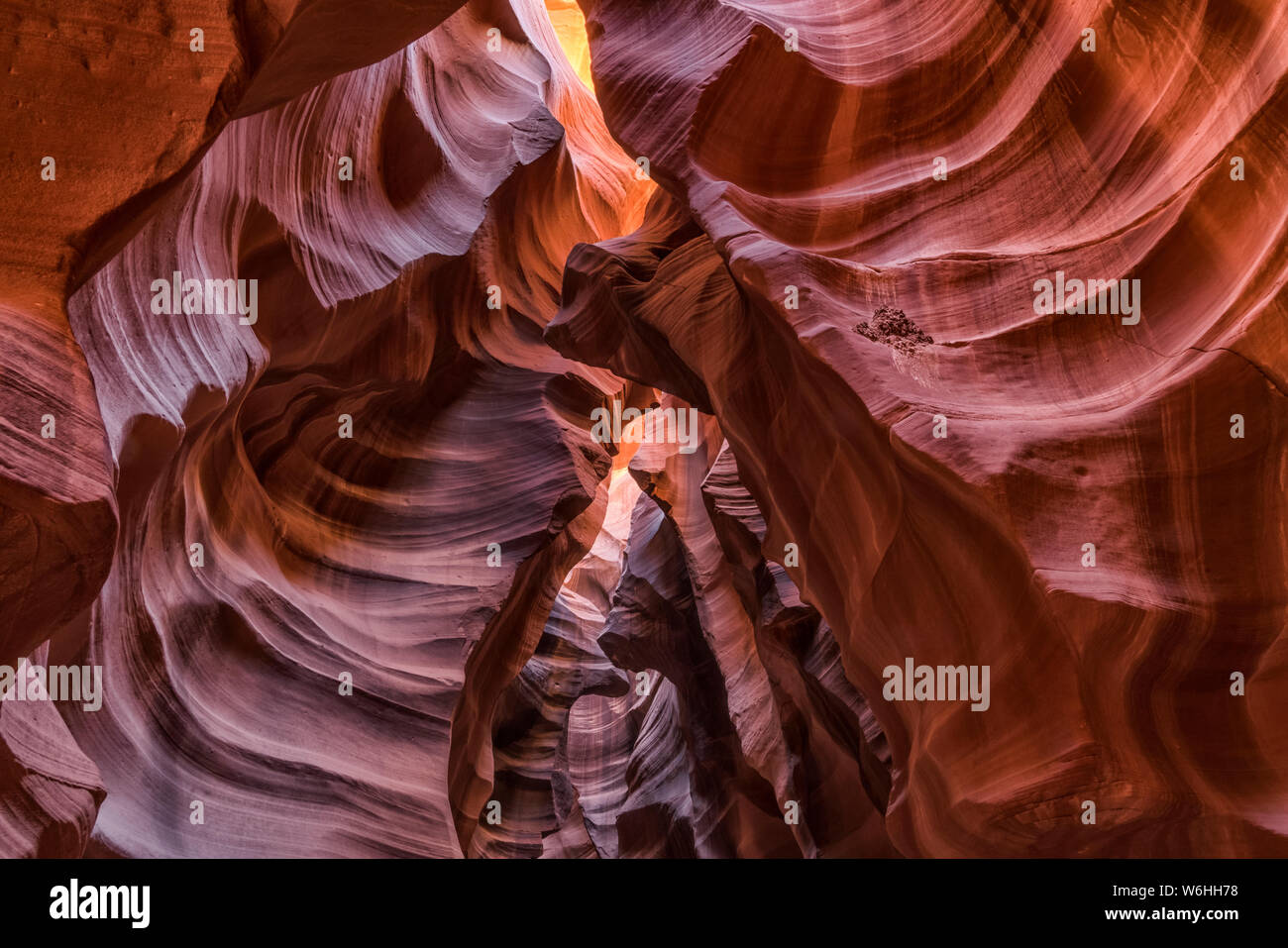 Slot Canyon Antelope Canyon, connu sous le nom de Page, Arizona, États-Unis d'Amérique Banque D'Images