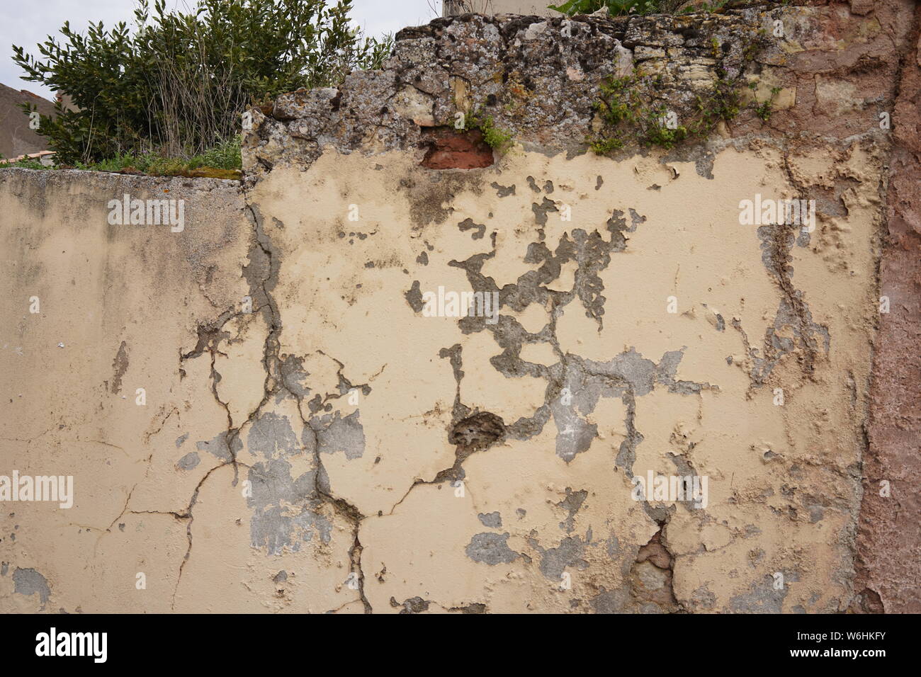 Enduit fissuré et écaillant sur le mur d'une vieille maison partiellement en ruine avec un arbuste poussant au sommet, Sigüenza, Espagne Banque D'Images