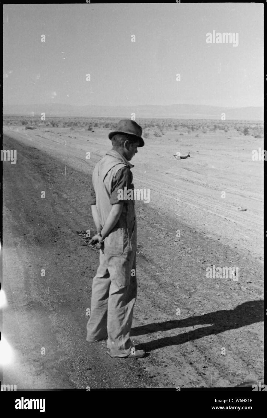 Imperial Valley, en Californie. Divers. Les jeunes migrants, première vision de terres irriguées en Californie. Banque D'Images