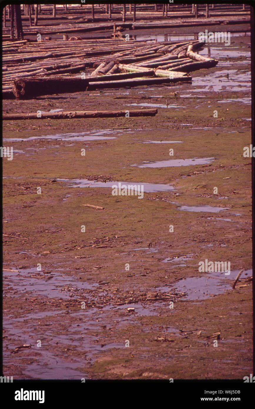 Connectez-VOUS SUR LE BORD DE L'eau ENTREPOSAGE EVERETT À marée basse Banque D'Images