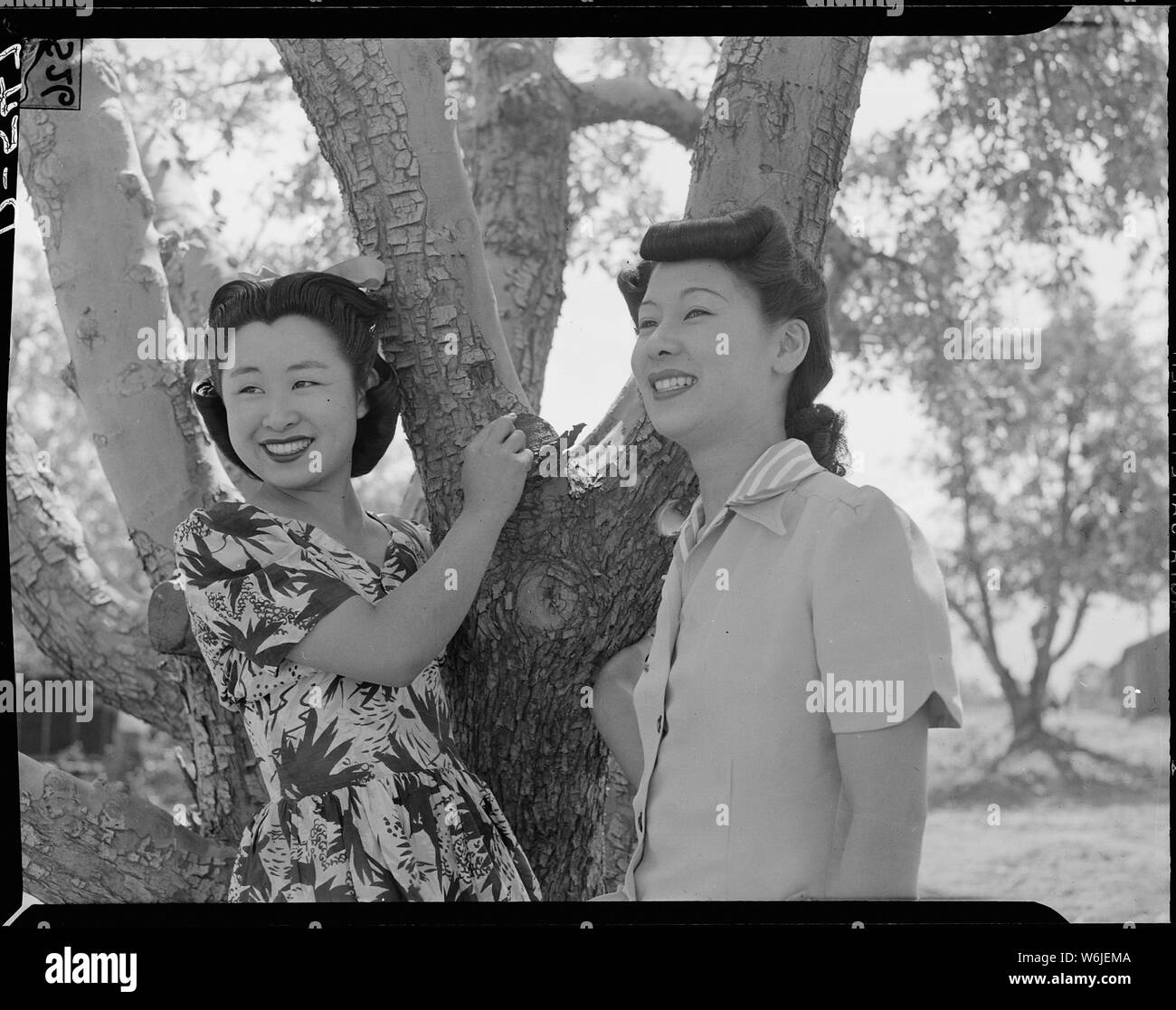 Manzanar Manzanar, Centre de réinstallation, en Californie. Florence Yamaguchi (à gauche), et Kinu Hirashima, bo . . . ; Portée et contenu : la légende complète pour cette photographie se lit comme suit : Manzanar Manzanar, Centre de réinstallation, en Californie. Florence Yamaguchi (à gauche), et, à la fois Hirashima Kinu de Los Angeles, sont photo en l'état sous un pommier à Manzanar, un centre de compétence pour la réinstallation de guerre évacués d'origine japonaise. Banque D'Images