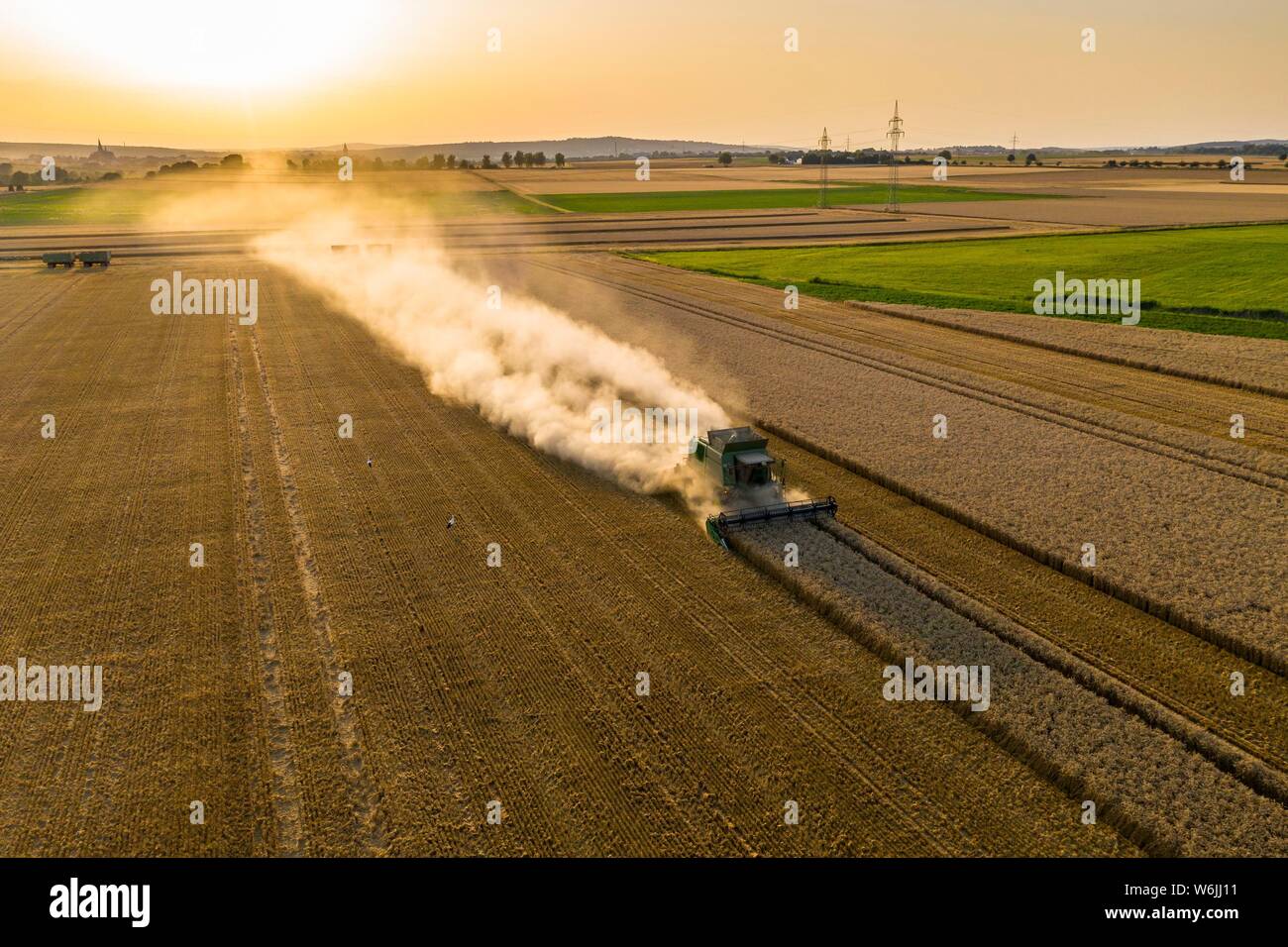 Vue aérienne, à la moissonneuse-batteuse, la conduite dans le soleil du soir sur un terrain sec avec beaucoup de poussière, Wetterau, Hesse, Allemagne Banque D'Images