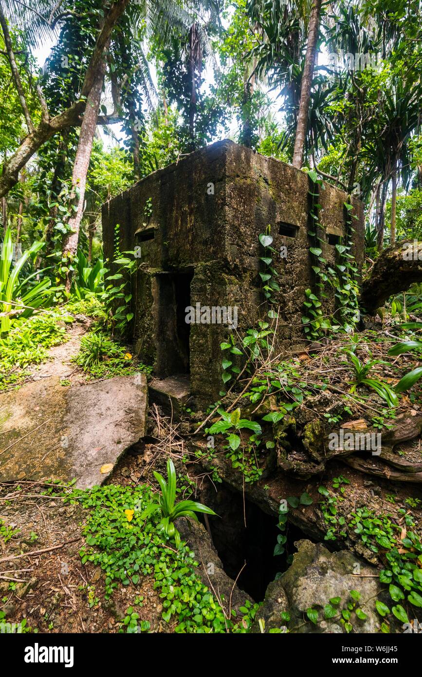 Bunker envahis par les Japonais à partir de la jungle, Kavieng, New Ireland, Papouasie Nouvelle Guinée Banque D'Images