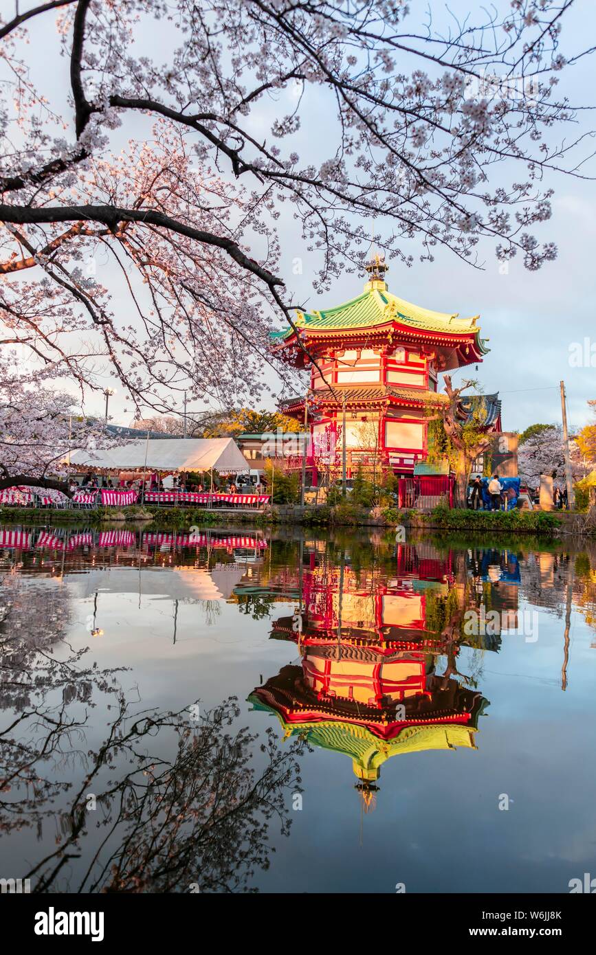 Les fleurs de cerisier au bassin Shinobazu, Hanami Festival au Temple Bentendo Shinobazunoike, parc Ueno, Tokyo, Japon Banque D'Images