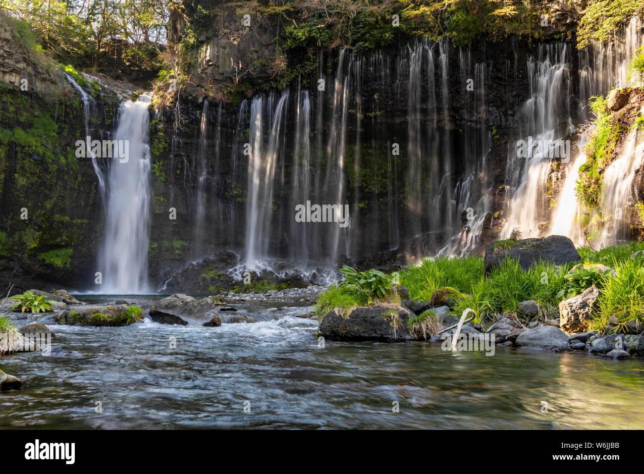 Chute d'eau Shiraito, Parc National de Fuji-Hakone-Izu, préfecture de Yamanashi, Japon Banque D'Images