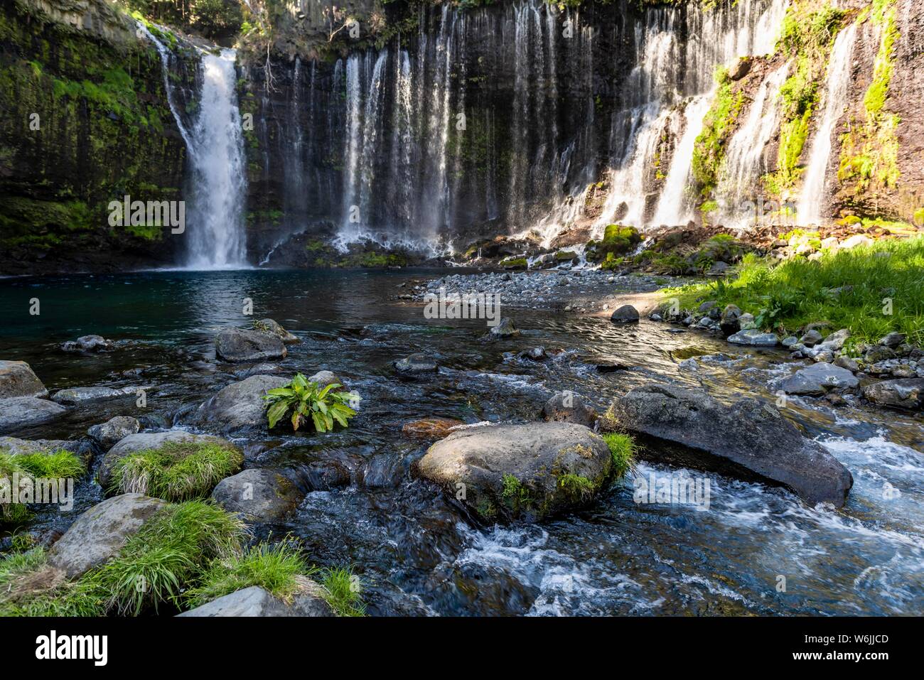 Chute d'eau Shiraito, Parc National de Fuji-Hakone-Izu, préfecture de Yamanashi, Japon Banque D'Images