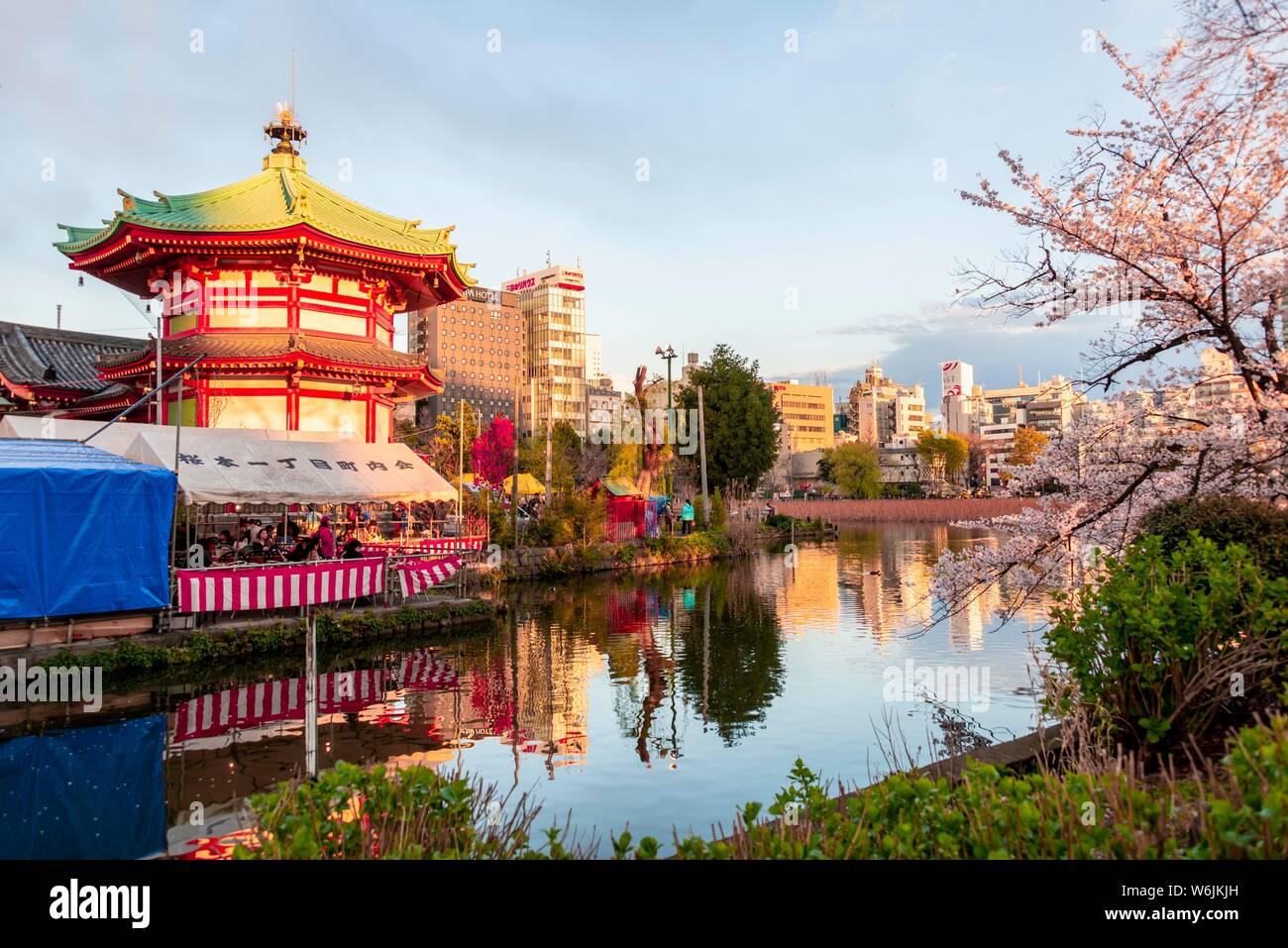 Les fleurs de cerisier au bassin Shinobazu, Hanami Festival au Temple Bentendo Shinobazunoike, parc Ueno, Tokyo, Japon Banque D'Images