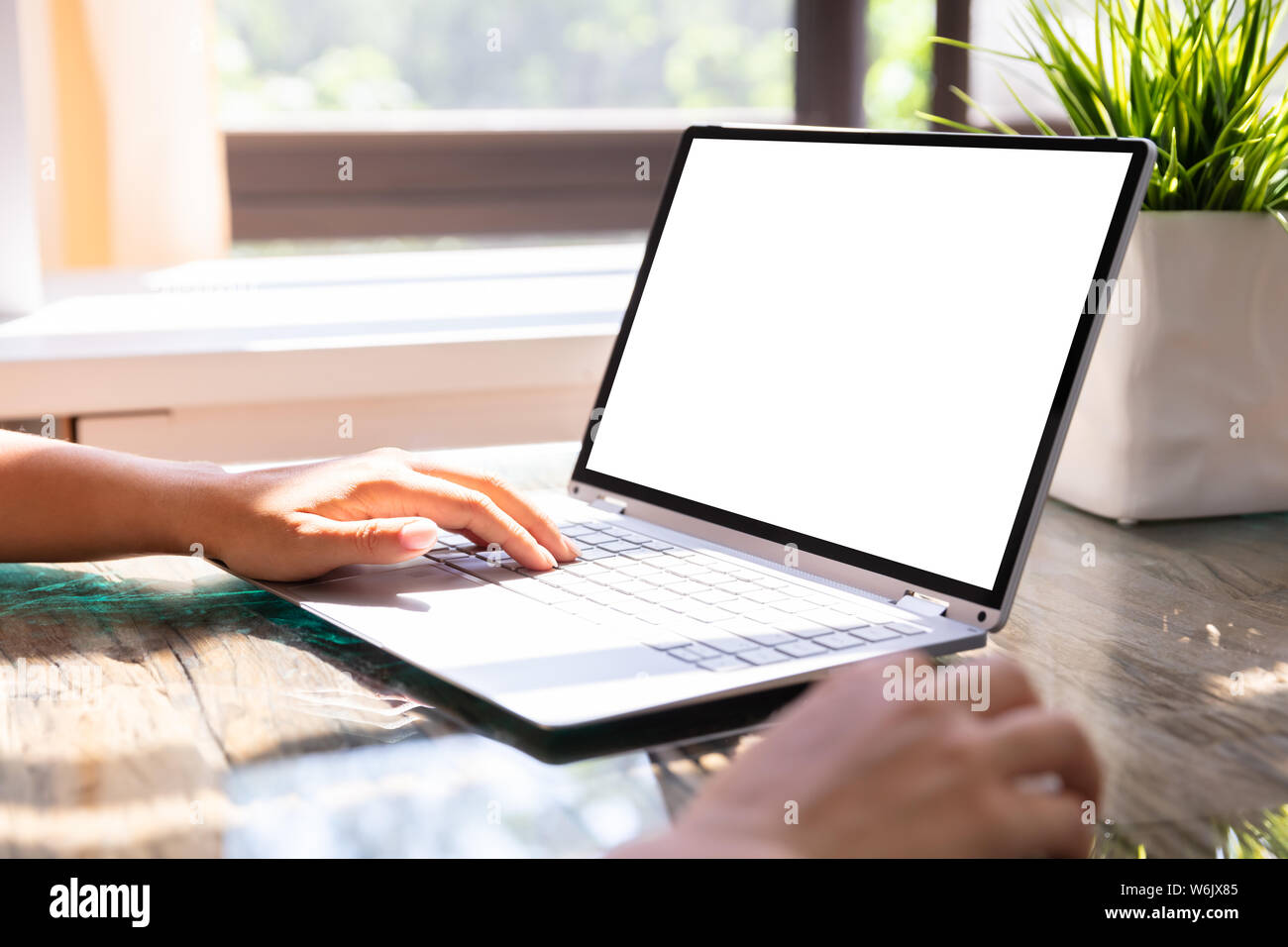 Close-up of Businesswoman Working On Laptop avec écran vide Banque D'Images