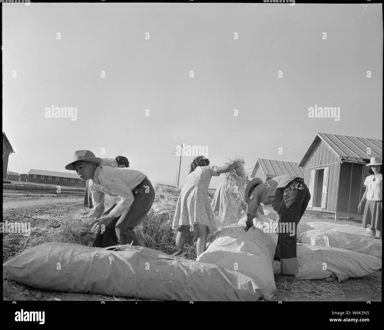 Poston, Arizona. Tiques pour les matelas de paille de remplissage à ce  centre de compétence pour la réinstallation de guerre eva . . . ; Portée et  contenu : la légende complète