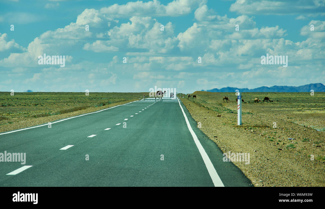 En route désert de Gobi. Huysiyn govi, Mongolie Banque D'Images
