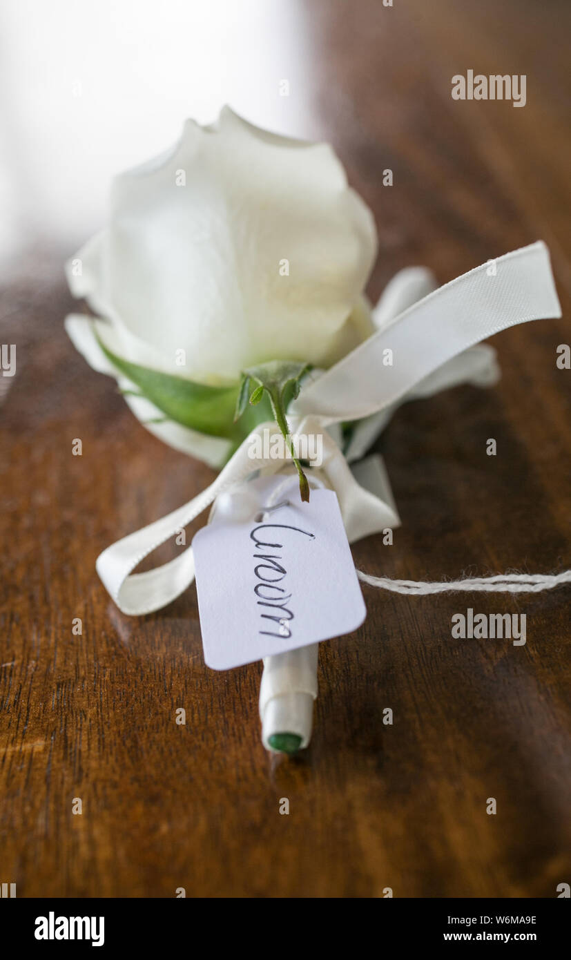 La boutonnière fleur Banque D'Images