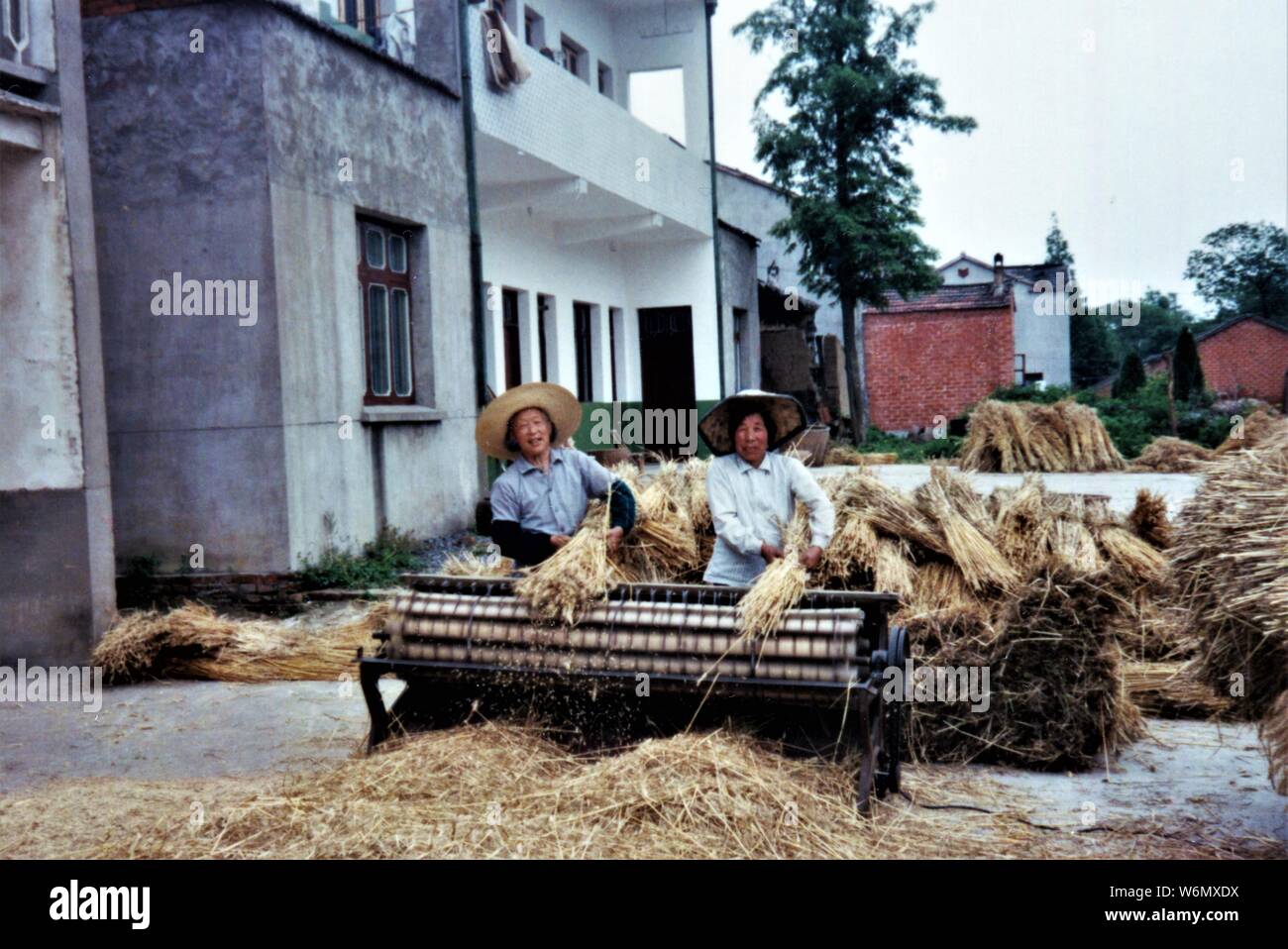 Deux femmes chinoises utilisant une machine de battage. Banque D'Images