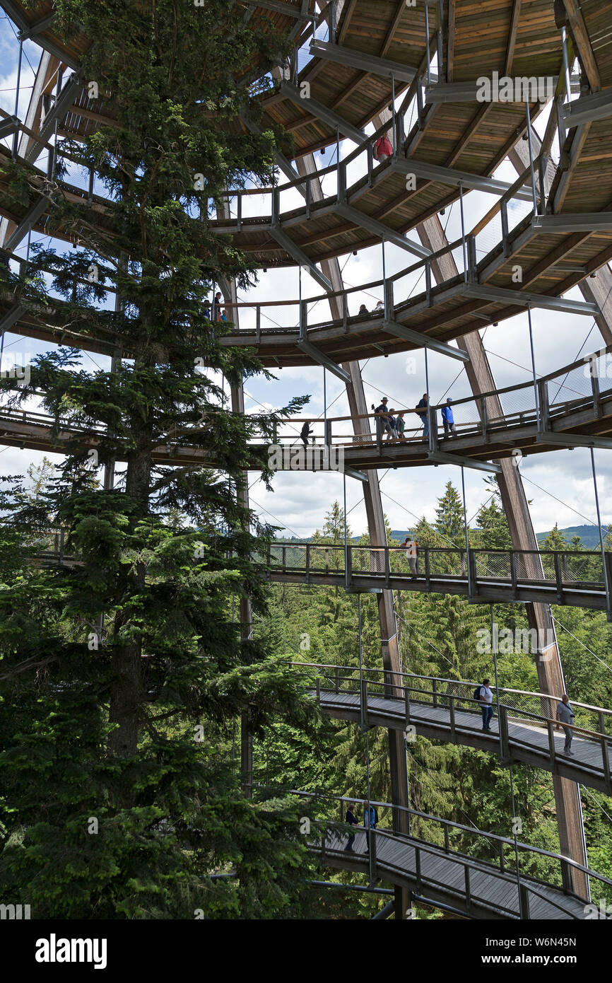 Look-out, Tree Top walk-, Grafenau, Parc National, Bayerischer Wald, Bavière, Allemagne Banque D'Images