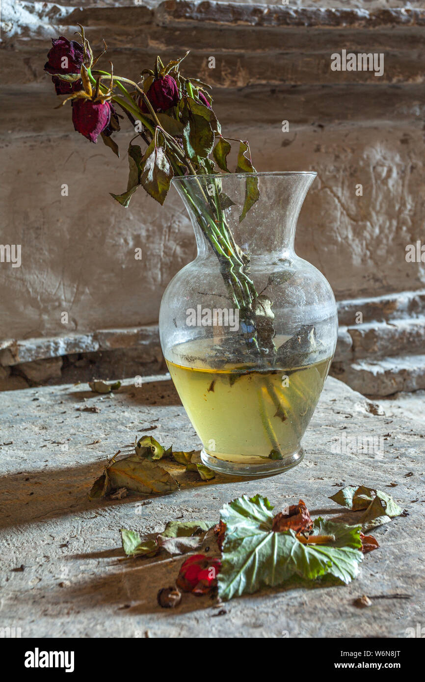 Nature morte avec roses fanées en vase en verre sur table en pierre sur une église troglodyte Banque D'Images