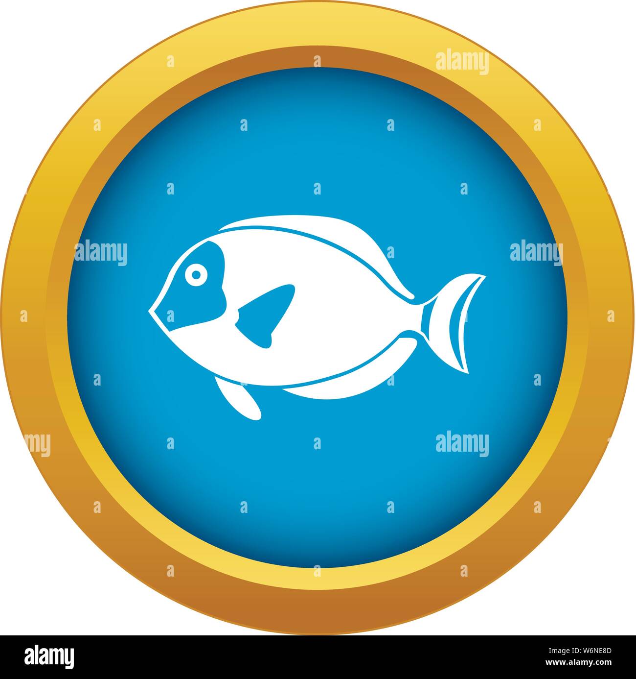 poissons-chirurgiens-bleus-banque-d-images-vectorielles-alamy