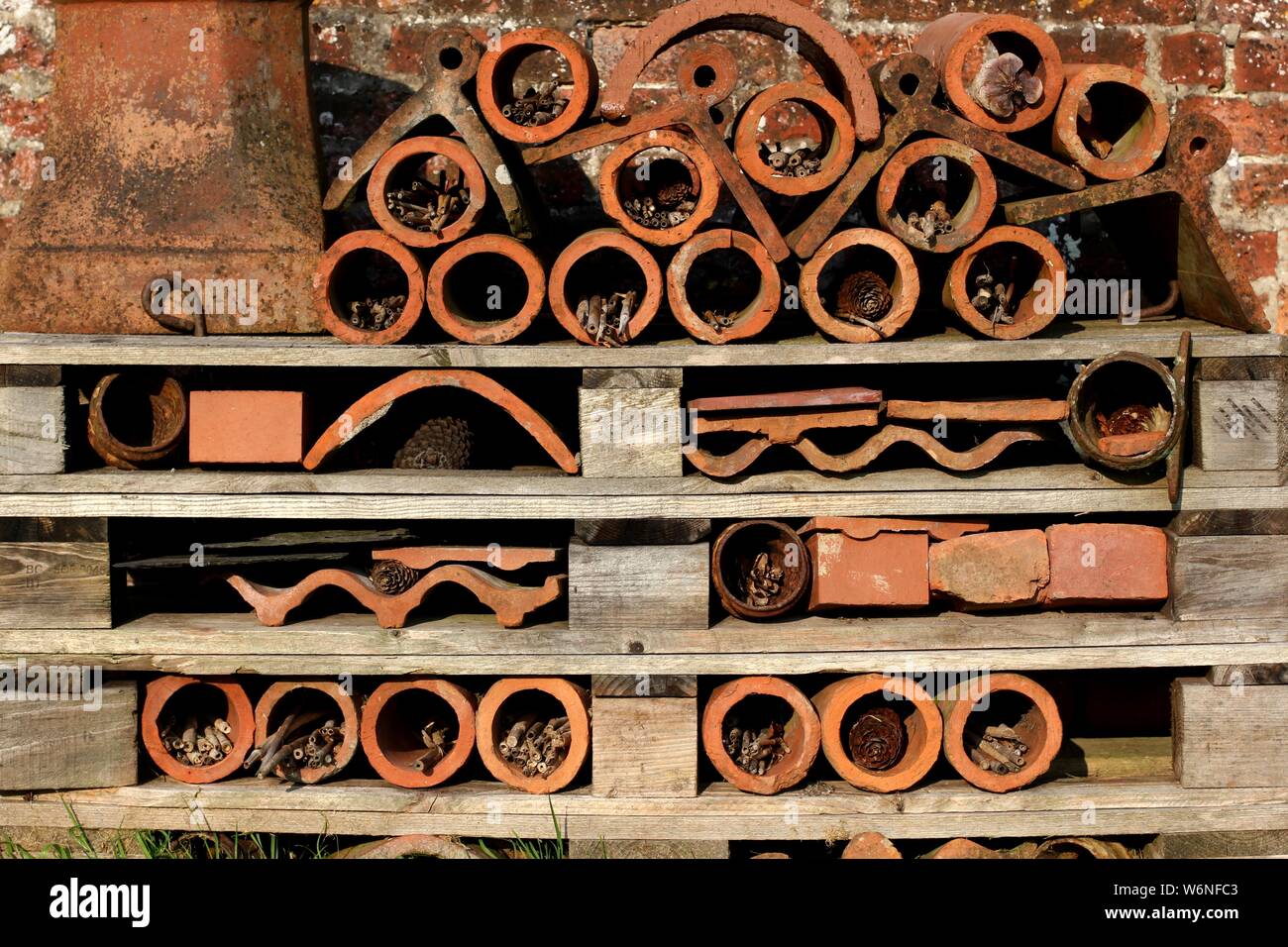 Abeille INSECTE et l'hôtel fait de carreaux en terre cuite,Tuyaux et palettes en bois Banque D'Images