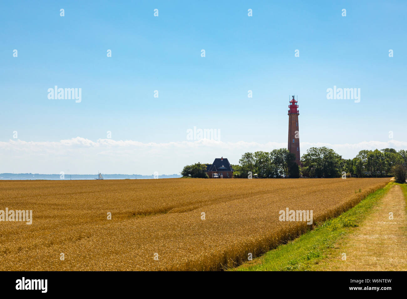 Flügge phare sur l'île de Fehmarn, Allemagne Mer Baltique. Mûres, champ de blé d'or en premier plan Banque D'Images