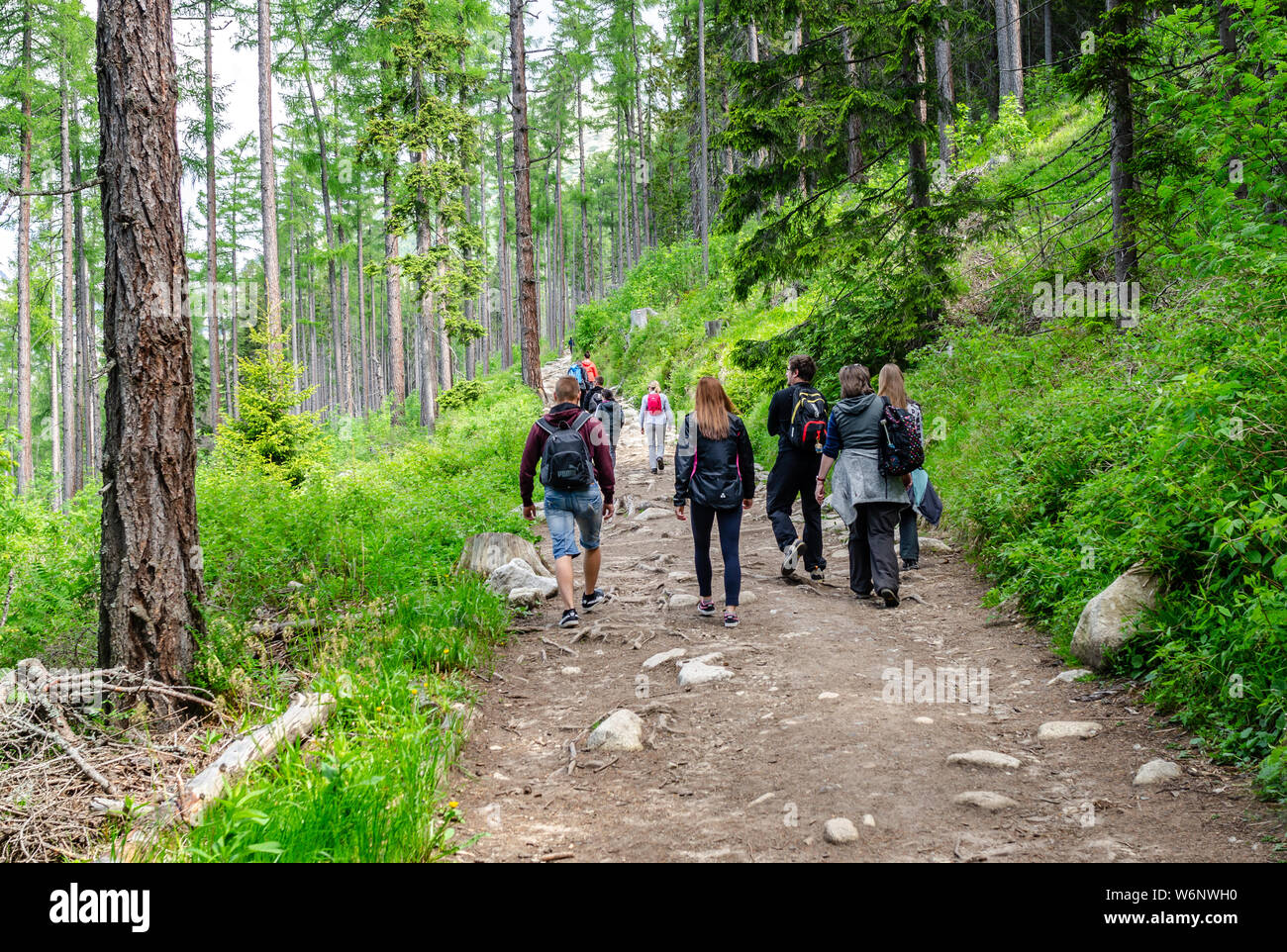 Les touristes sur des sentiers de montagne dans les Tatras, en Slovaquie. Banque D'Images