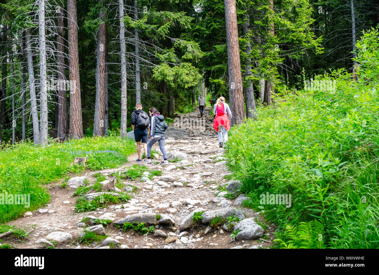 Les touristes sur des sentiers de montagne dans les Tatras, en Slovaquie. Banque D'Images