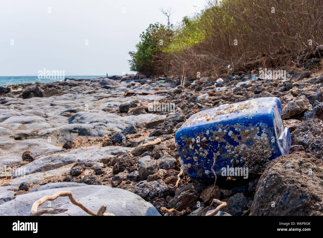 Conteneur en plastique d'écologie de mollusques à la plage Banque D'Images