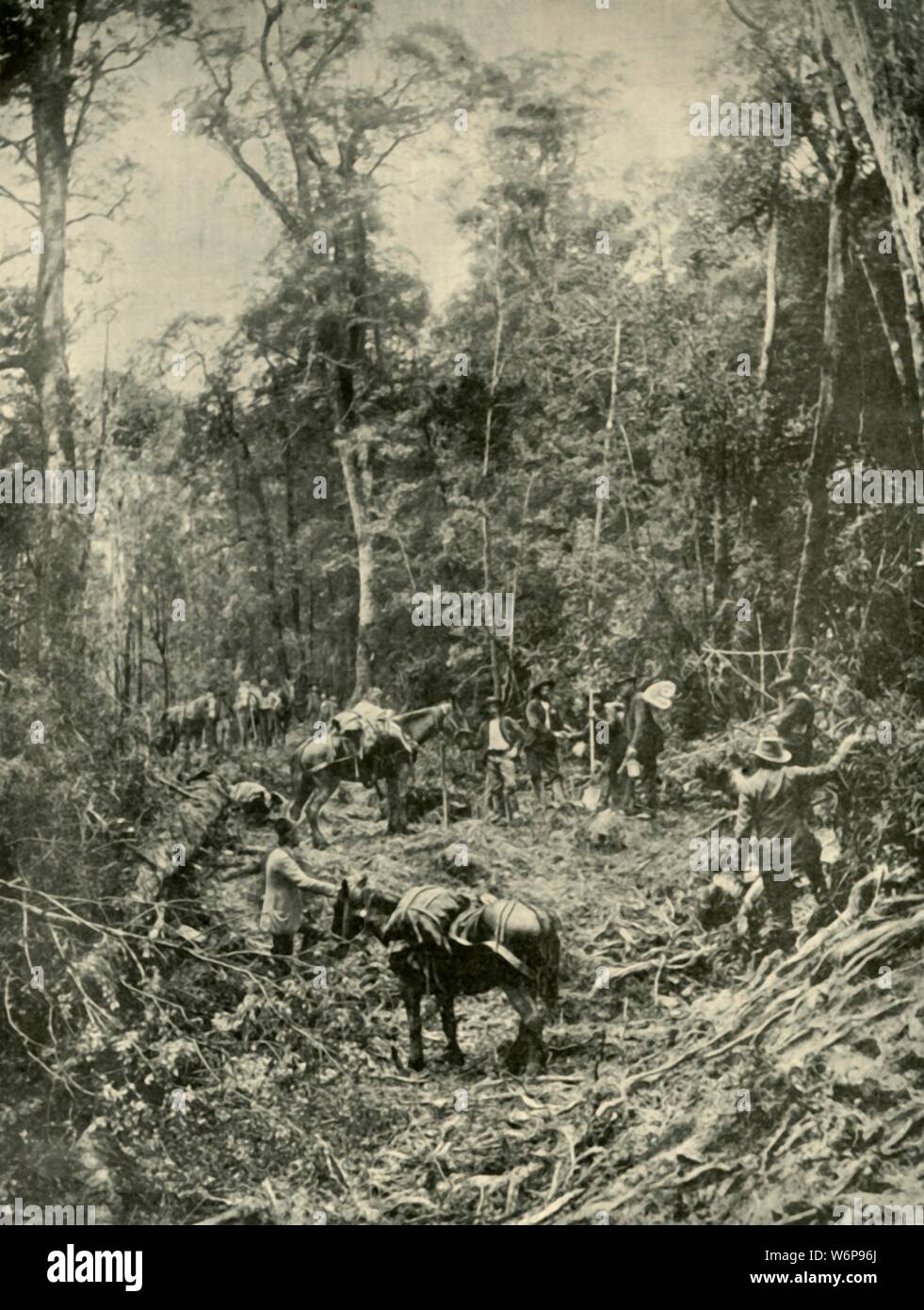 'Une route difficile, Tasmanie', 1901. À partir de "l'Australie fédérée". [La société Werner, Londres, 1901] Banque D'Images