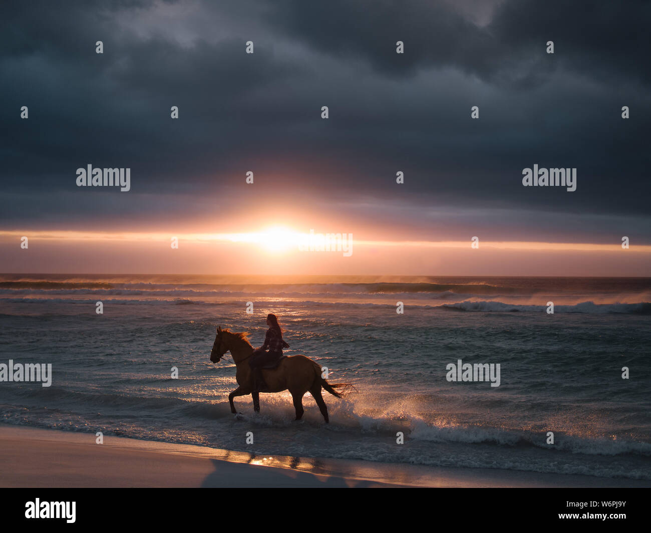 Silhouette d'un homme cheval d'équitation le long de la plage. Femme l'équitation au bord de la mer au coucher du soleil. Banque D'Images