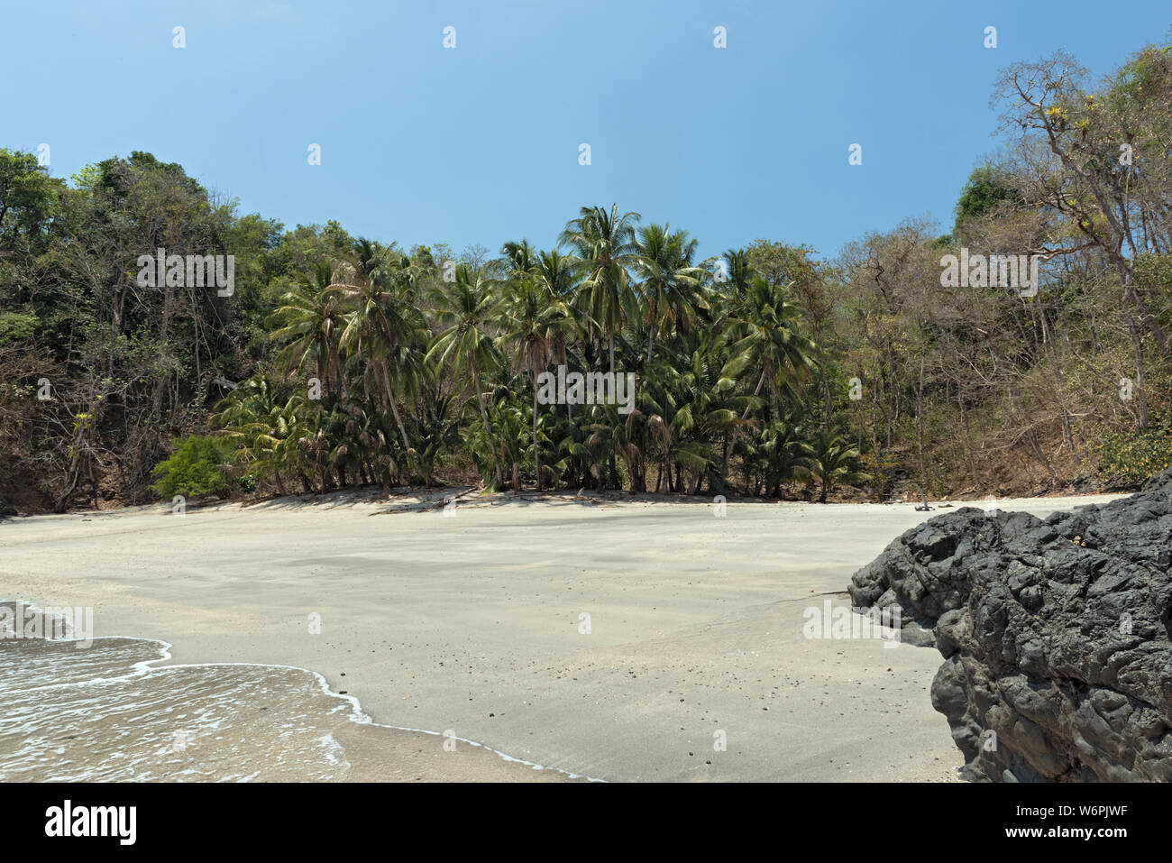 Palm beach tropical sur l'île cebaco panama Banque D'Images