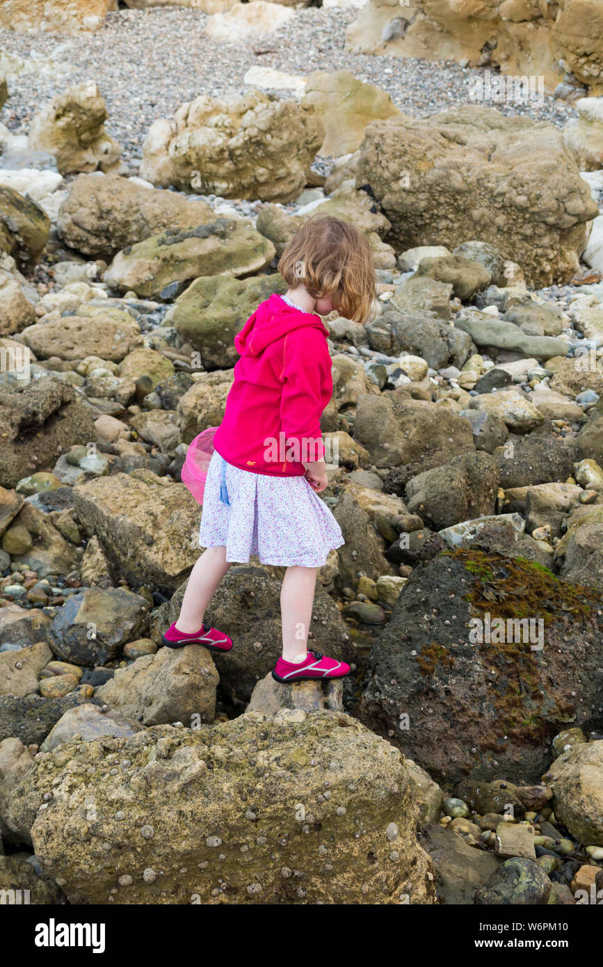 Girl / filles / Kid avec filet de pêche / Enfants / enfant avec godet /  enfants chasser dans les zones côtières par des rochers et des roches sur la  côte du