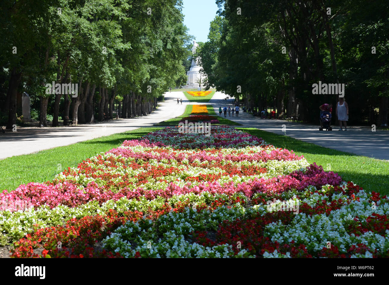 Des fleurs dans le parc Primorski (Jardin de la mer), Varna, Bulgarie, côte de Mer Noire, Juillet 2019 Banque D'Images