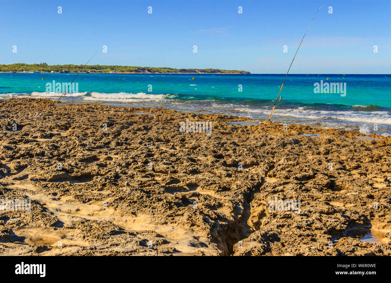 L'été. Oasis protégée des lacs d'Alimini : Baie turque (ou Baia dei Turchi) à Apulia, Italie. Banque D'Images
